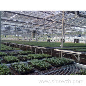 Structure agriculture green houses